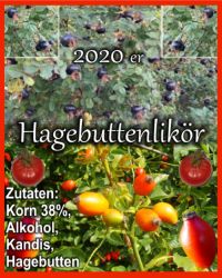 Hagebuttenlikoer-Thumb