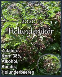 Holunderlikoer-Thumb